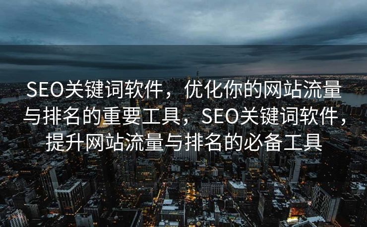 SEO关键词软件，优化你的网站流量与排名的重要工具，SEO关键词软件，提升网站流量与排名的必备工具
