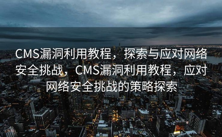 CMS漏洞利用教程，探索与应对网络安全挑战，CMS漏洞利用教程，应对网络安全挑战的策略探索