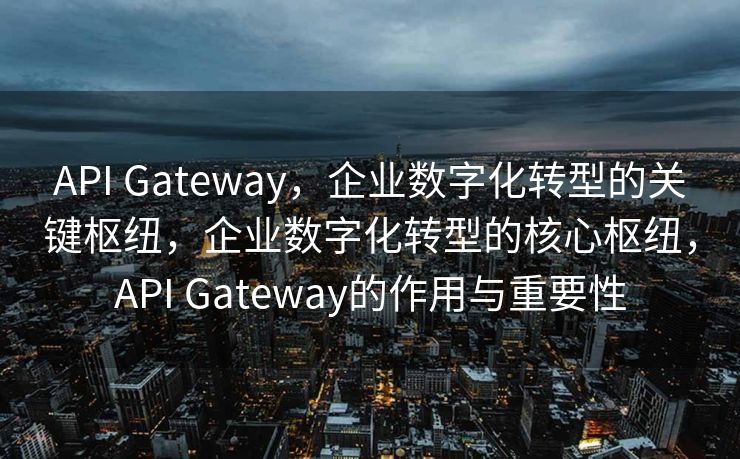 API Gateway，企业数字化转型的关键枢纽，企业数字化转型的核心枢纽，API Gateway的作用与重要性
