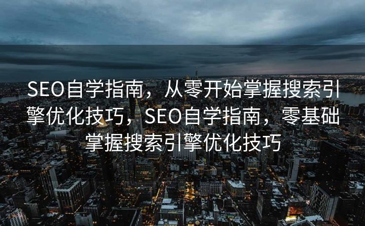 SEO自学指南，从零开始掌握搜索引擎优化技巧，SEO自学指南，零基础掌握搜索引擎优化技巧