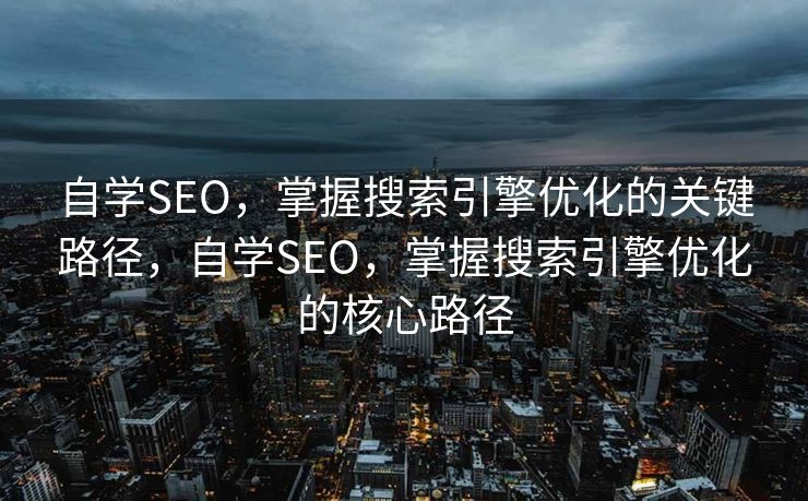 自学SEO，掌握搜索引擎优化的关键路径，自学SEO，掌握搜索引擎优化的核心路径