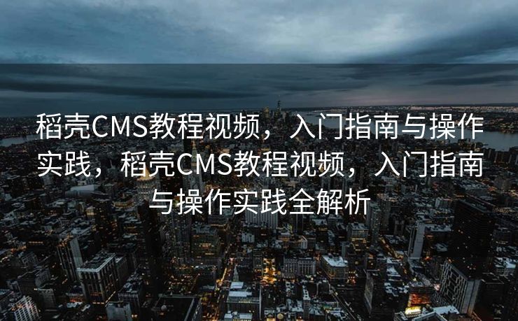 稻壳CMS教程视频，入门指南与操作实践，稻壳CMS教程视频，入门指南与操作实践全解析