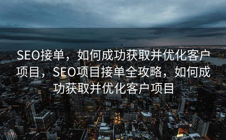 SEO接单，如何成功获取并优化客户项目，SEO项目接单全攻略，如何成功获取并优化客户项目