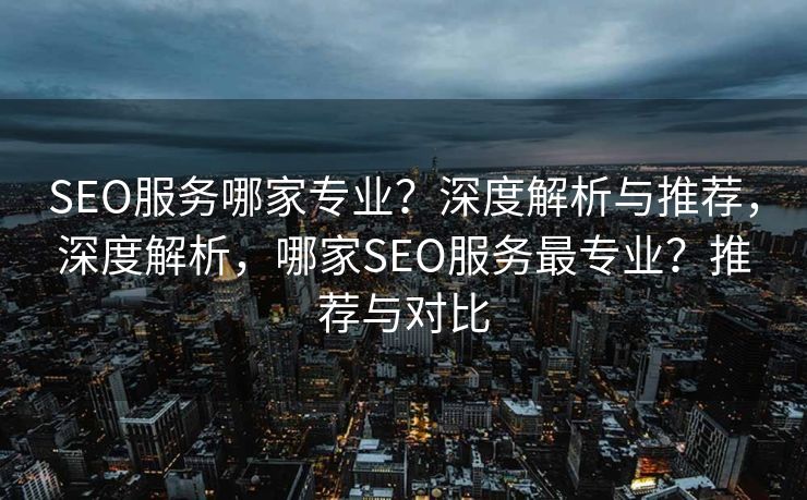 SEO服务哪家专业？深度解析与推荐，深度解析，哪家SEO服务最专业？推荐与对比