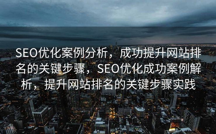 SEO优化案例分析，成功提升网站排名的关键步骤，SEO优化成功案例解析，提升网站排名的关键步骤实践