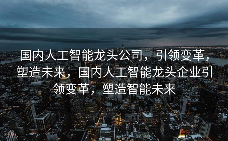 国内人工智能龙头公司，引领变革，塑造未来，国内人工智能龙头企业引领变革，塑造智能未来