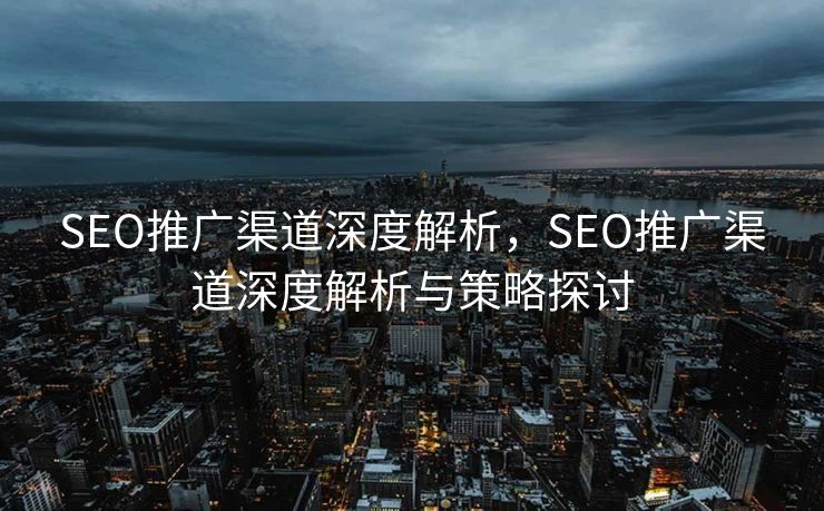 SEO推广渠道深度解析，SEO推广渠道深度解析与策略探讨