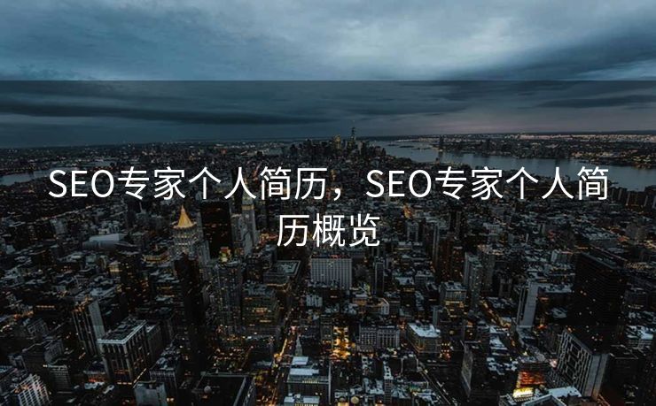 SEO专家个人简历，SEO专家个人简历概览