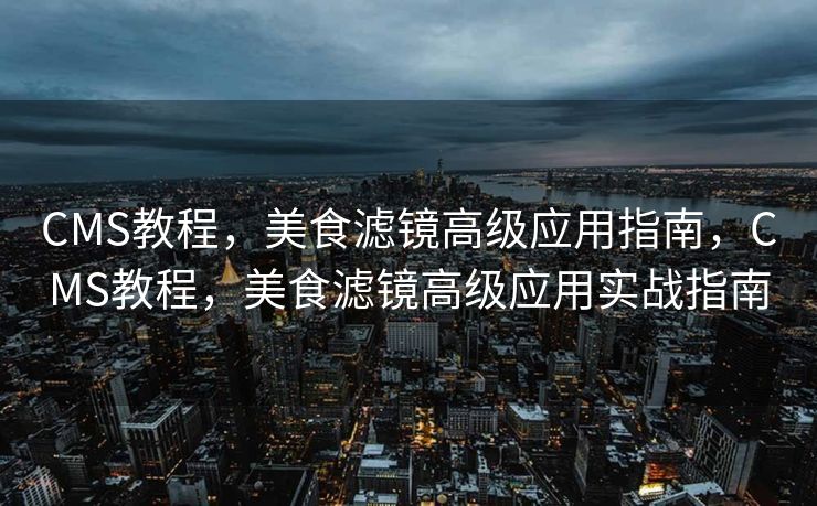 CMS教程，美食滤镜高级应用指南，CMS教程，美食滤镜高级应用实战指南