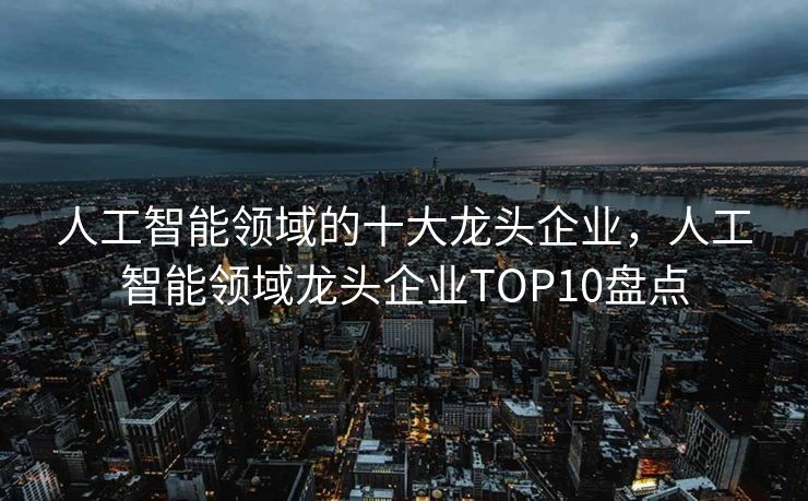 人工智能领域的十大龙头企业，人工智能领域龙头企业TOP10盘点
