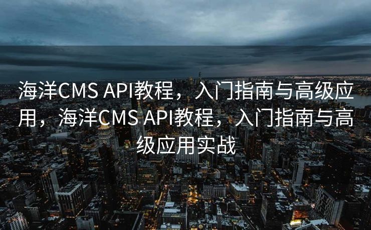 海洋CMS API教程，入门指南与高级应用，海洋CMS API教程，入门指南与高级应用实战