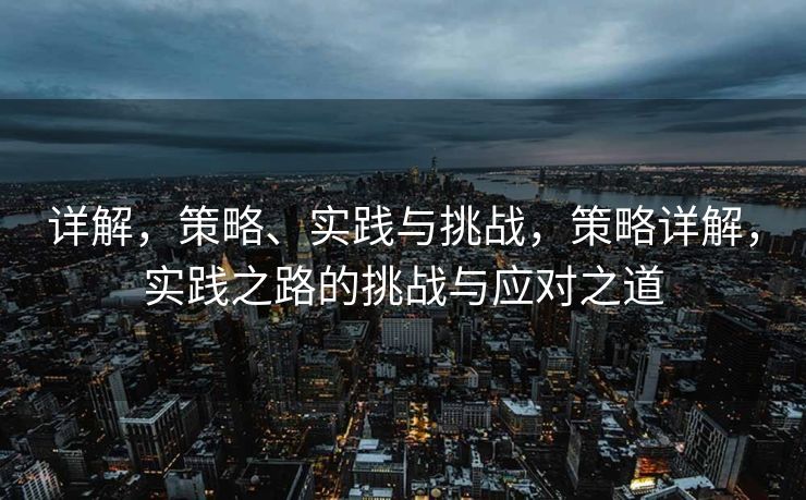 详解，策略、实践与挑战，策略详解，实践之路的挑战与应对之道