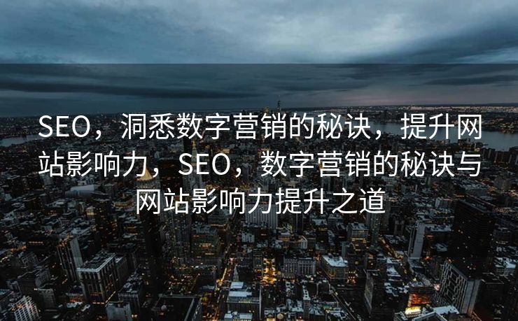 SEO，洞悉数字营销的秘诀，提升网站影响力，SEO，数字营销的秘诀与网站影响力提升之道