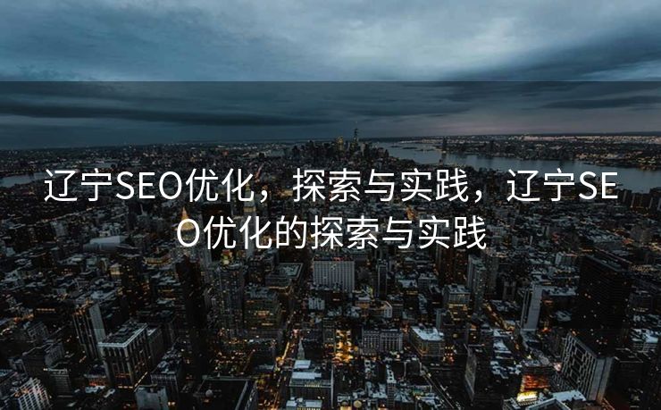 辽宁SEO优化，探索与实践，辽宁SEO优化的探索与实践