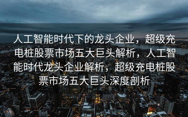 人工智能时代下的龙头企业，超级充电桩股票市场五大巨头解析，人工智能时代龙头企业解析，超级充电桩股票市场五大巨头深度剖析