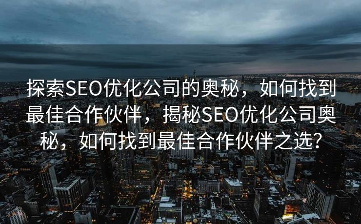 探索SEO优化公司的奥秘，如何找到最佳合作伙伴，揭秘SEO优化公司奥秘，如何找到最佳合作伙伴之选？
