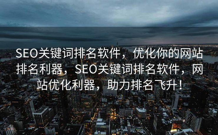 SEO关键词排名软件，优化你的网站排名利器，SEO关键词排名软件，网站优化利器，助力排名飞升！