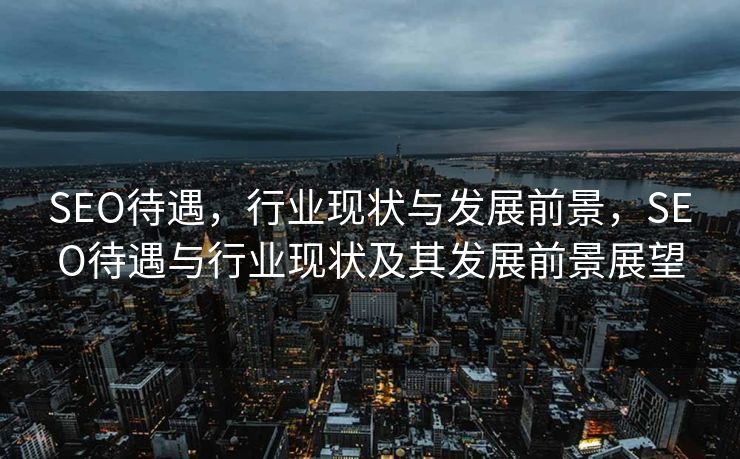 SEO待遇，行业现状与发展前景，SEO待遇与行业现状及其发展前景展望