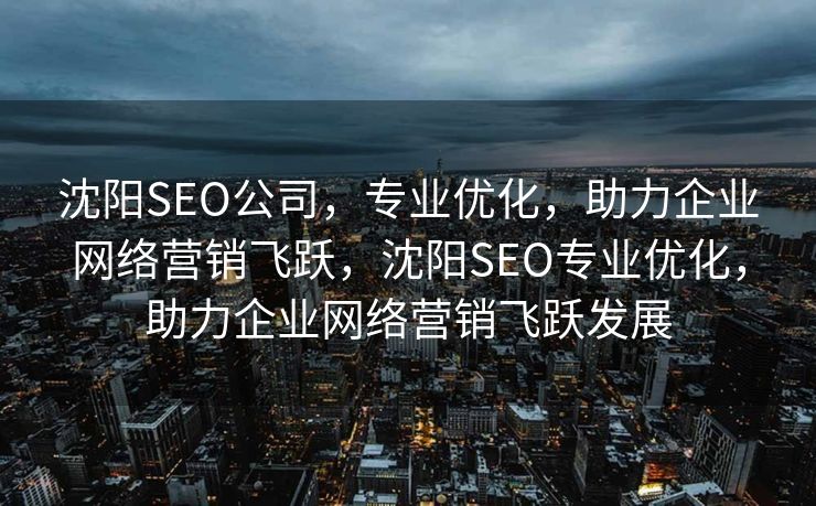沈阳SEO公司，专业优化，助力企业网络营销飞跃，沈阳SEO专业优化，助力企业网络营销飞跃发展