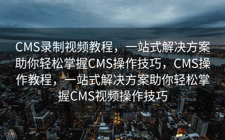 SEO实战密码，揭秘搜索引擎优化的成功之道，揭秘SEO实战秘籍，搜索引擎优化成功之道探索