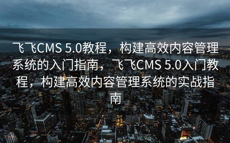 飞飞CMS 5.0教程，构建高效内容管理系统的入门指南，飞飞CMS 5.0入门教程，构建高效内容管理系统的实战指南