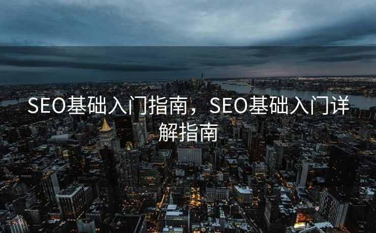 SEO基础入门指南，SEO基础入门详解指南