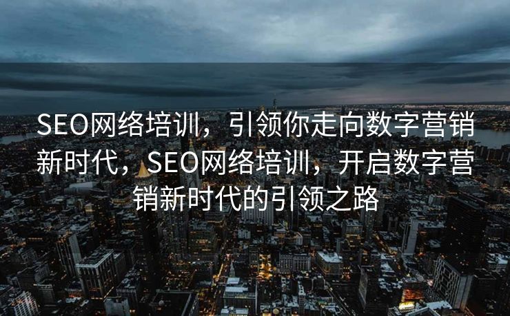 SEO网络培训，引领你走向数字营销新时代，SEO网络培训，开启数字营销新时代的引领之路