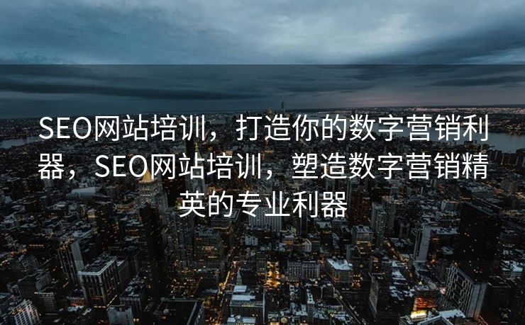 SEO网站培训，打造你的数字营销利器，SEO网站培训，塑造数字营销精英的专业利器