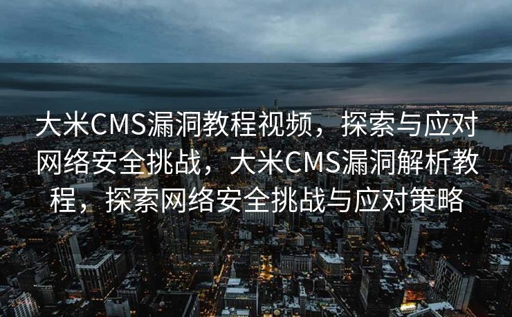 大米CMS漏洞教程视频，探索与应对网络安全挑战，大米CMS漏洞解析教程，探索网络安全挑战与应对策略