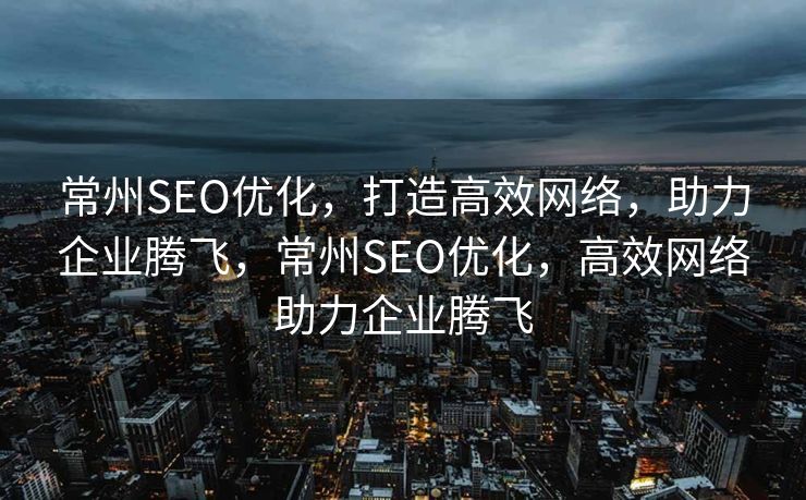 常州SEO优化，打造高效网络，助力企业腾飞，常州SEO优化，高效网络助力企业腾飞