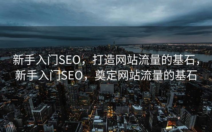 新手入门SEO，打造网站流量的基石，新手入门SEO，奠定网站流量的基石
