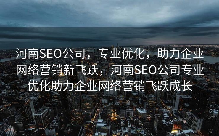 河南SEO公司，专业优化，助力企业网络营销新飞跃，河南SEO公司专业优化助力企业网络营销飞跃成长