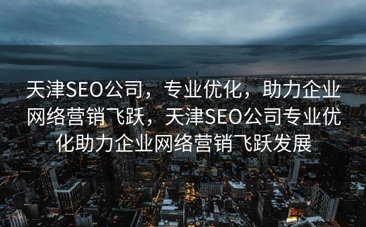 天津SEO公司，专业优化，助力企业网络营销飞跃，天津SEO公司专业优化助力企业网络营销飞跃发展
