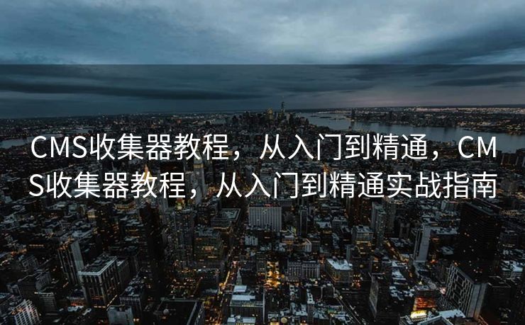 上海百度SEO，探索搜索引擎优化的前沿，上海百度SEO，搜索引擎优化的最新探索与实践