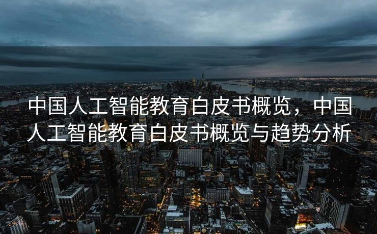 中国人工智能教育白皮书概览，中国人工智能教育白皮书概览与趋势分析