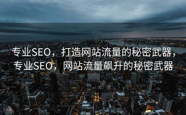 专业SEO，打造网站流量的秘密武器，专业SEO，网站流量飙升的秘密武器