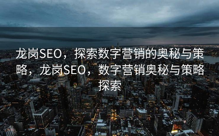 龙岗SEO，探索数字营销的奥秘与策略，龙岗SEO，数字营销奥秘与策略探索