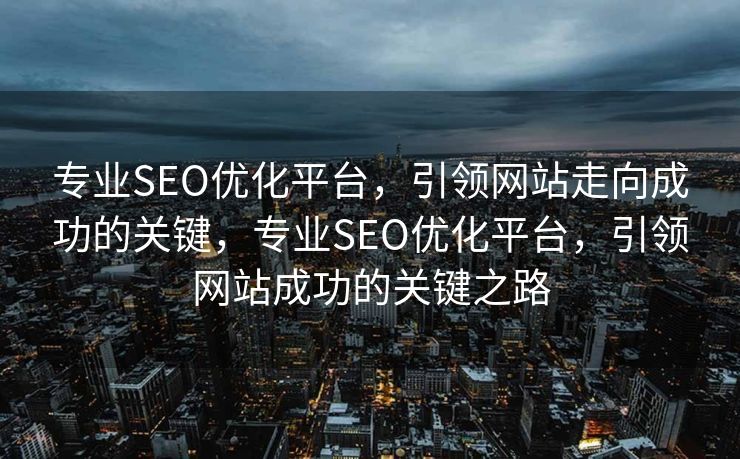 专业SEO优化平台，引领网站走向成功的关键，专业SEO优化平台，引领网站成功的关键之路