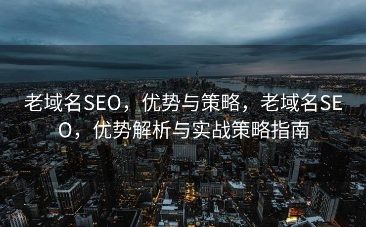 老域名SEO，优势与策略，老域名SEO，优势解析与实战策略指南