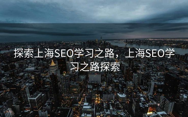 探索上海SEO学习之路，上海SEO学习之路探索