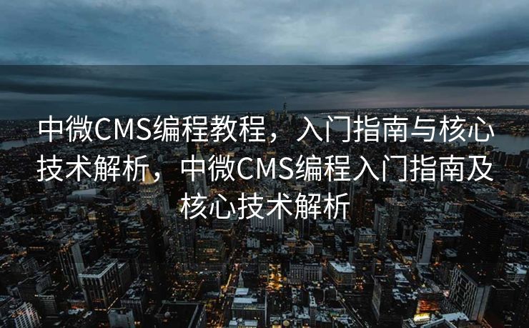 中微CMS编程教程，入门指南与核心技术解析，中微CMS编程入门指南及核心技术解析