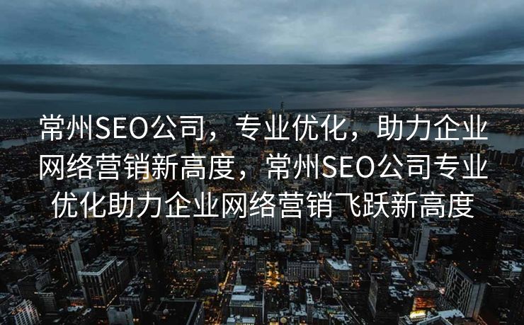 常州SEO公司，专业优化，助力企业网络营销新高度，常州SEO公司专业优化助力企业网络营销飞跃新高度