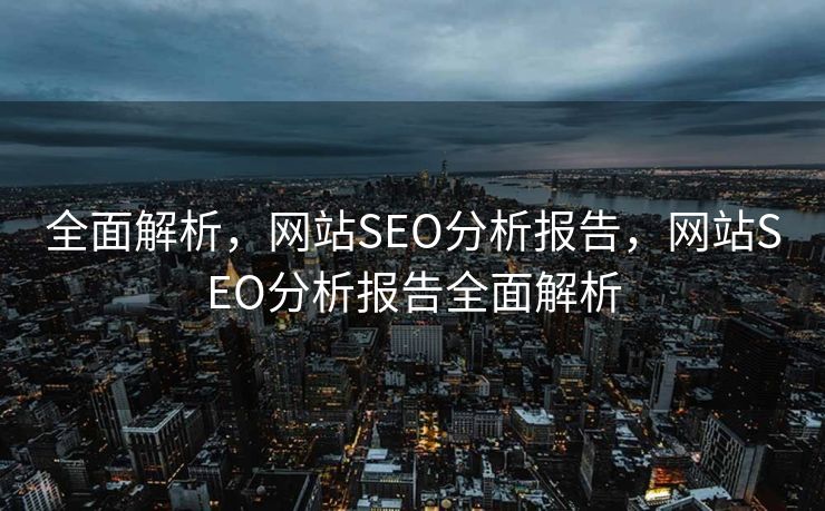 全面解析，网站SEO分析报告，网站SEO分析报告全面解析