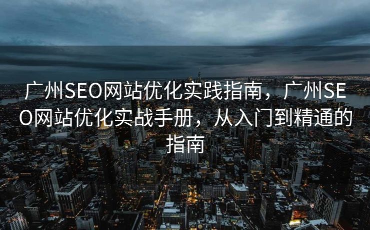 广州SEO网站优化实践指南，广州SEO网站优化实战手册，从入门到精通的指南