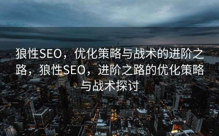 狼性SEO，优化策略与战术的进阶之路，狼性SEO，进阶之路的优化策略与战术探讨