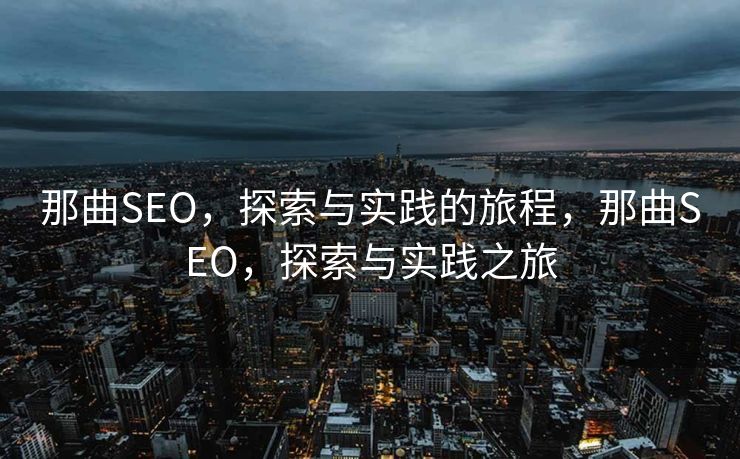 那曲SEO，探索与实践的旅程，那曲SEO，探索与实践之旅