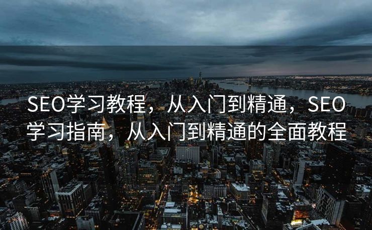 SEO学习教程，从入门到精通，SEO学习指南，从入门到精通的全面教程
