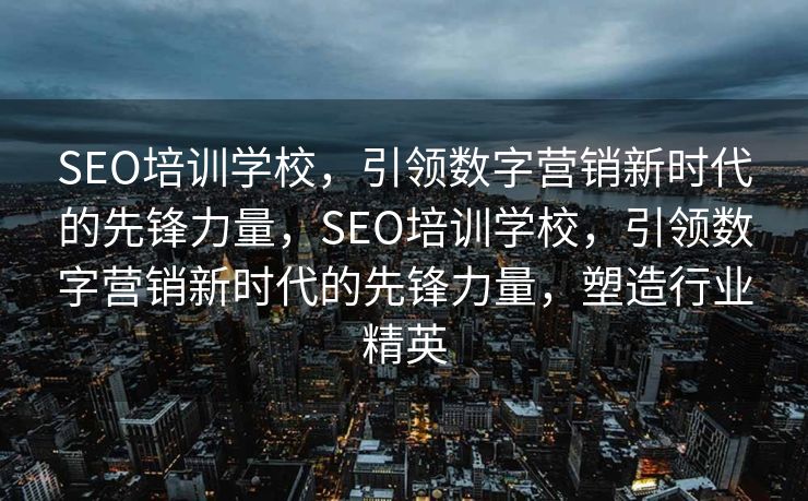 SEO培训学校，引领数字营销新时代的先锋力量，SEO培训学校，引领数字营销新时代的先锋力量，塑造行业精英