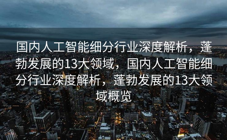 国内人工智能细分行业深度解析，蓬勃发展的13大领域，国内人工智能细分行业深度解析，蓬勃发展的13大领域概览