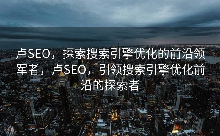 卢SEO，探索搜索引擎优化的前沿领军者，卢SEO，引领搜索引擎优化前沿的探索者